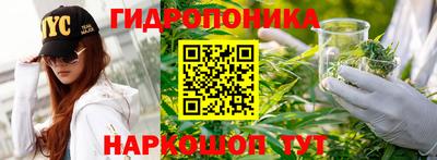 ешки Краснознаменск
